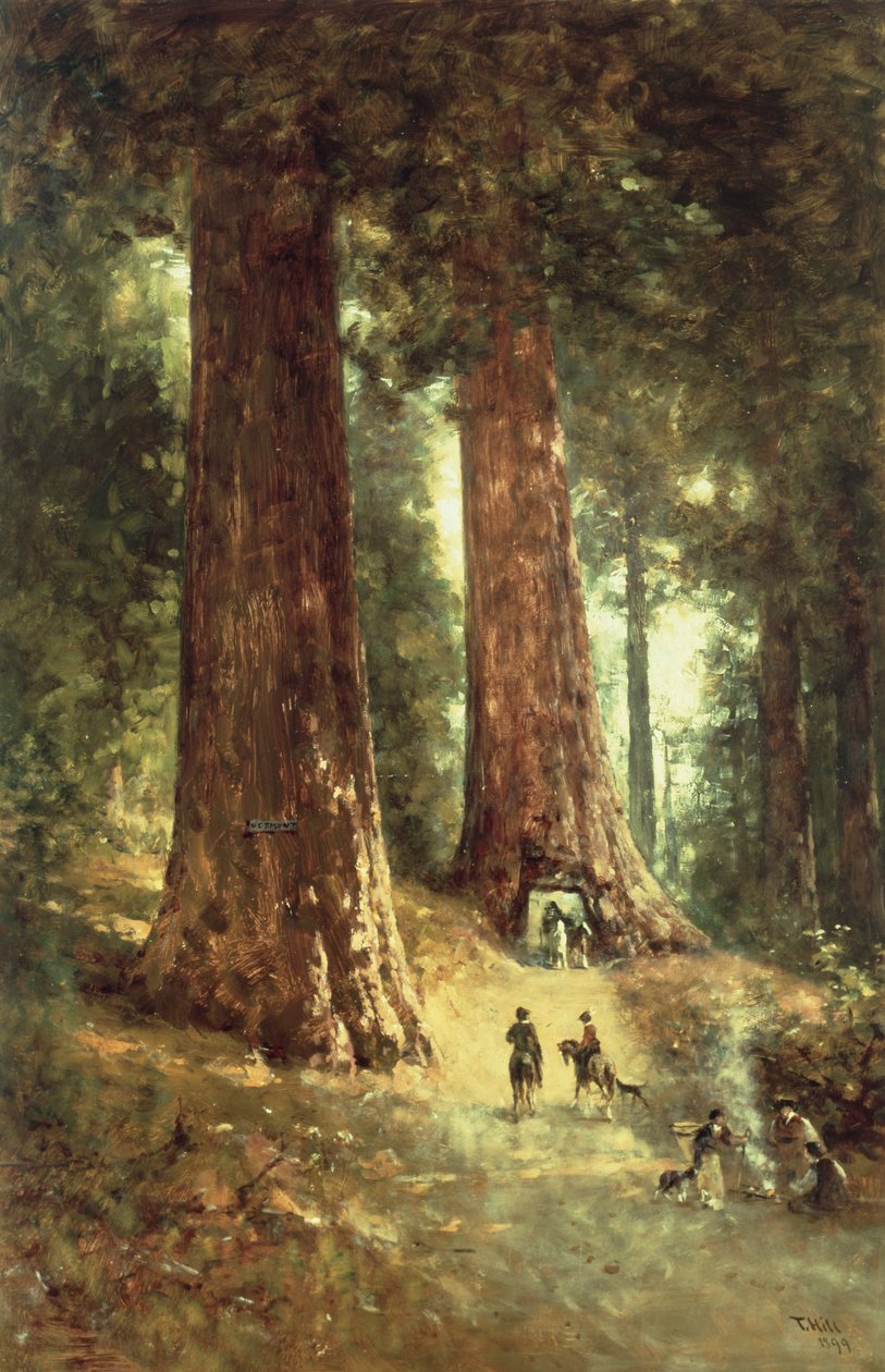 A Redwoodsban, 1899 alkotó: Thomas Hill