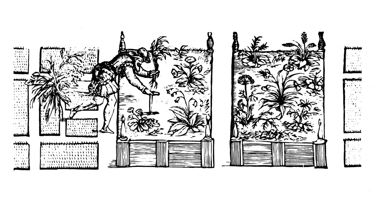Ültetés magaságyásokba, „A kertész labirintusából”, 1586 alkotó: Thomas Hill