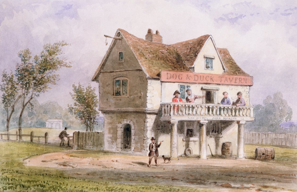Kilátás az öreg kutyára és kacsára, a Szent György-mezőkre alkotó: Thomas Hosmer Shepherd