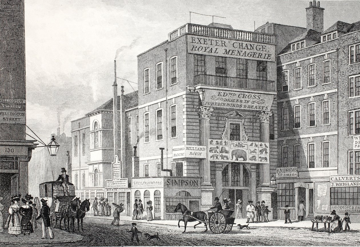 Exeter Change, Strand, a "London és környéke a tizenkilencedik században" című kiadványból. Jones und Co., 1827-1829 alkotó: Thomas Hosmer Shepherd