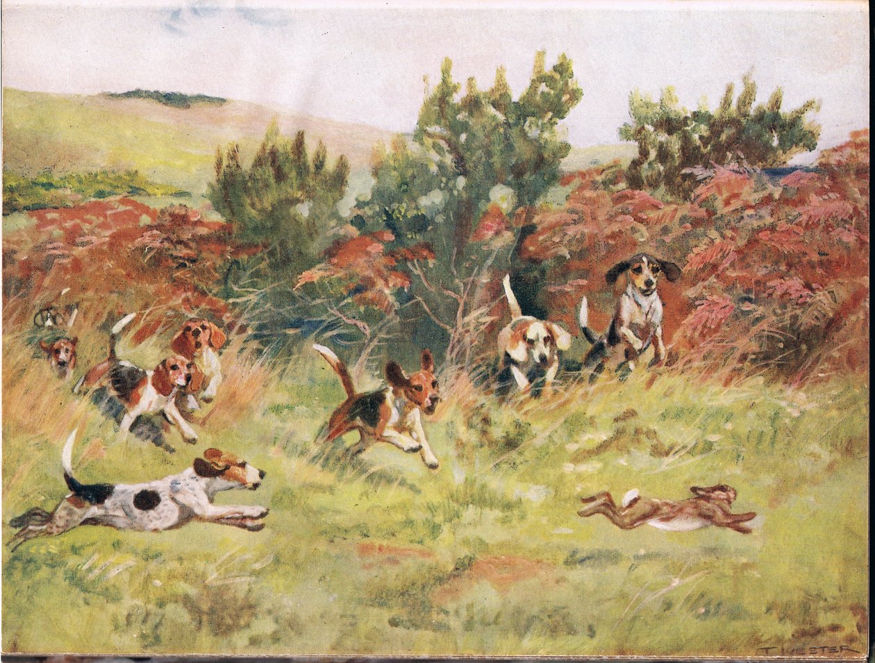 Nyúl üldözése, illusztráció a „Hounds” című filmből alkotó: Thomas Ivester Lloyd