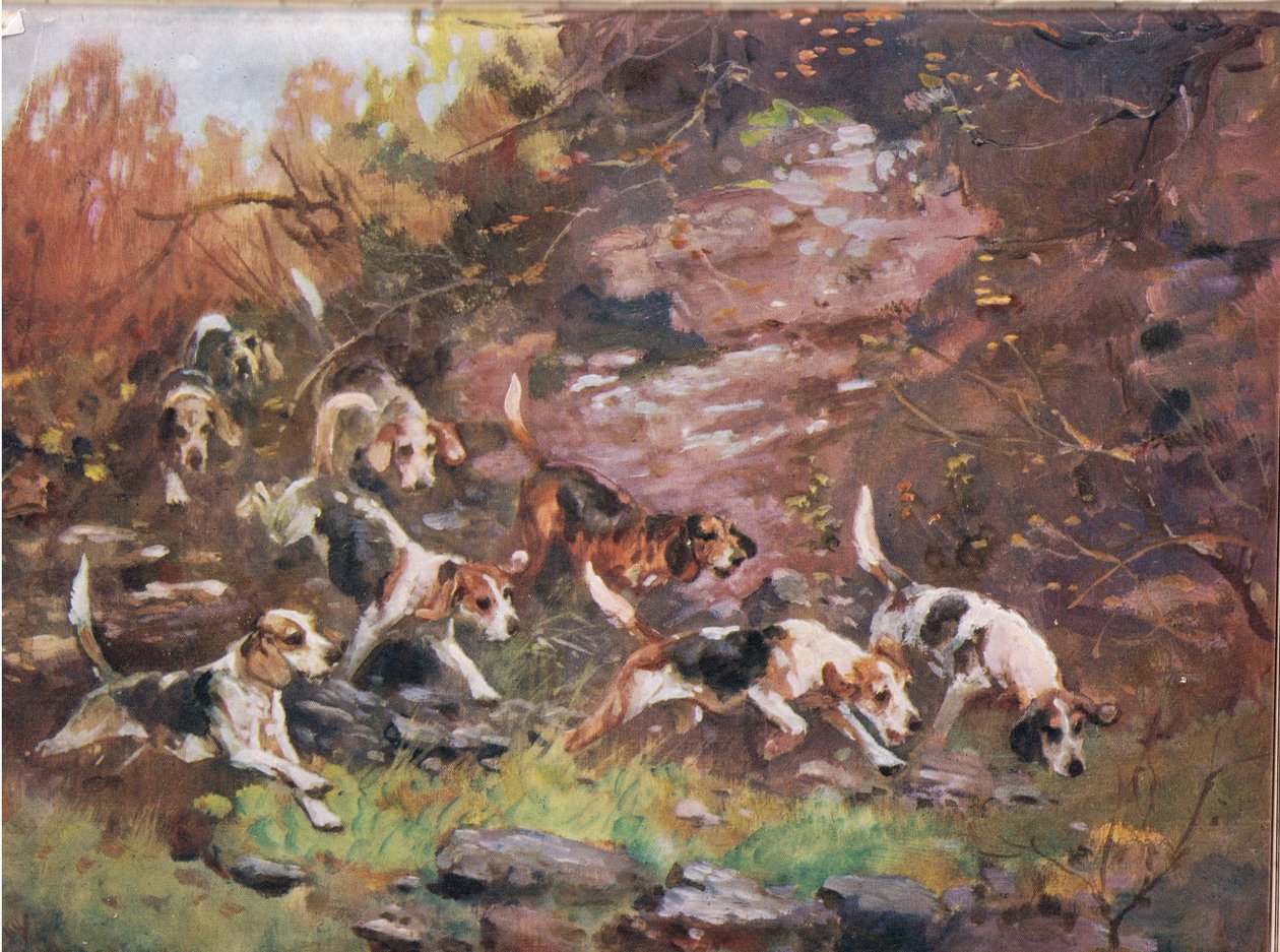 Az aljnövényzeten keresztül, illusztráció a „Hounds”-ból alkotó: Thomas Ivester Lloyd