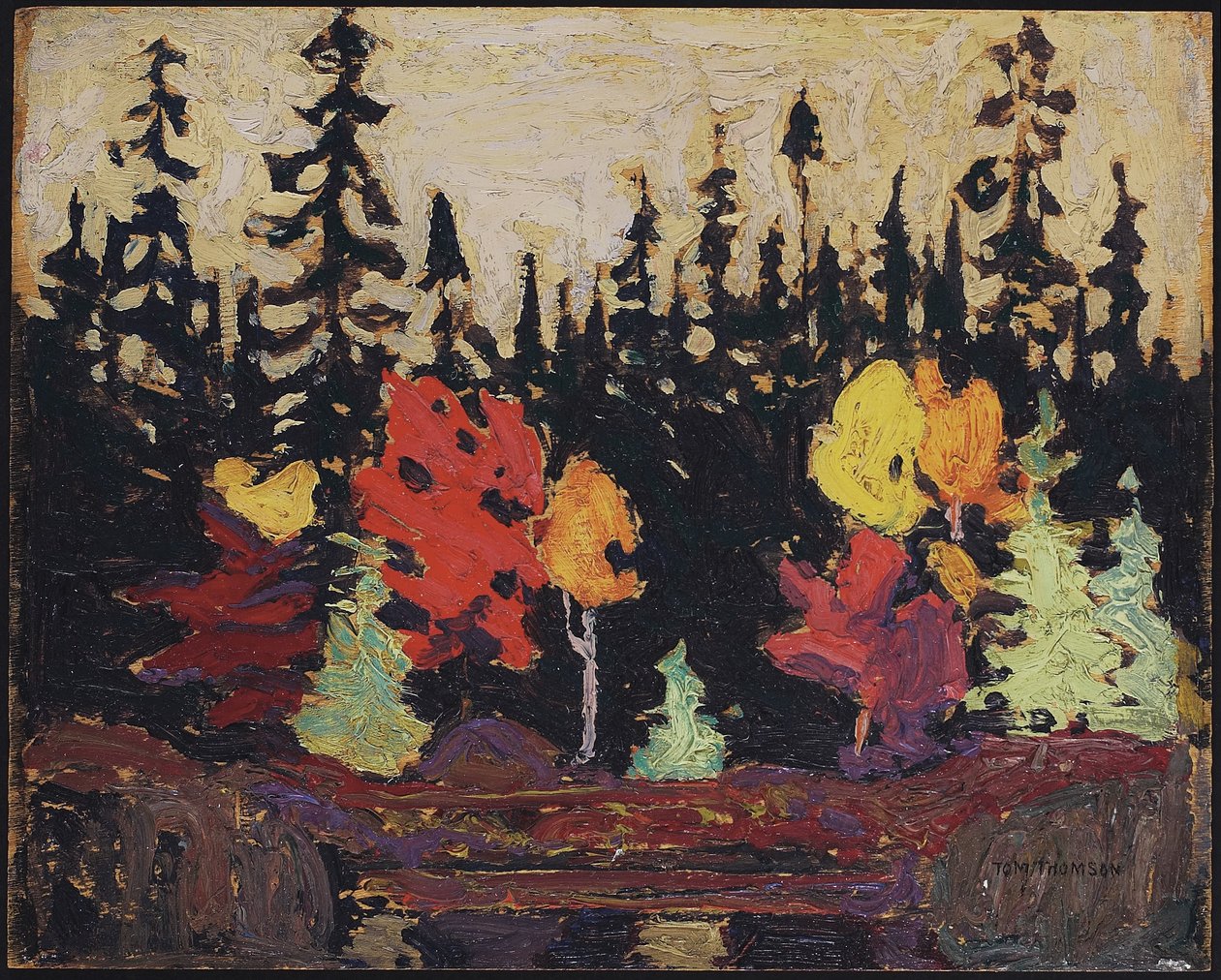 Fekete luc és juhar, 1915 (olaj, falemez) alkotó: Tom Thomson