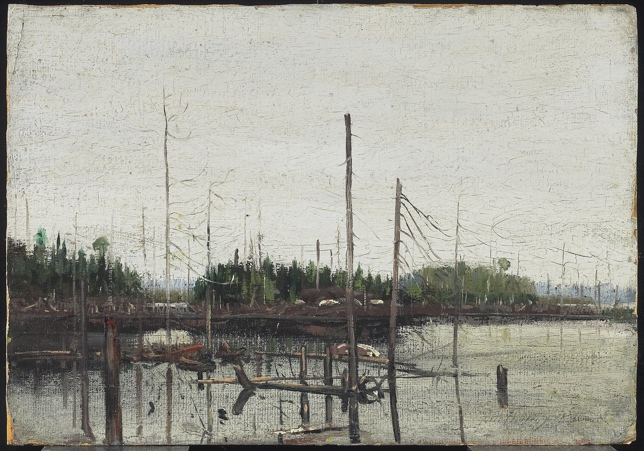 Vízbefulladt föld, 1912 (olaj, papír (dombornyomott vászon textúrával) fán) alkotó: Tom Thomson