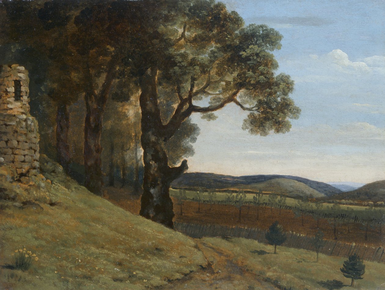 Mező Pencerrig közelében alkotó: Thomas Jones