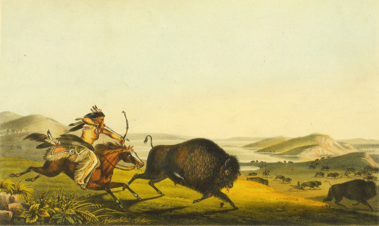 Bölényvadászat, 1848 (kézi színes litográfia) alkotó: Thomas Loraine McKenney