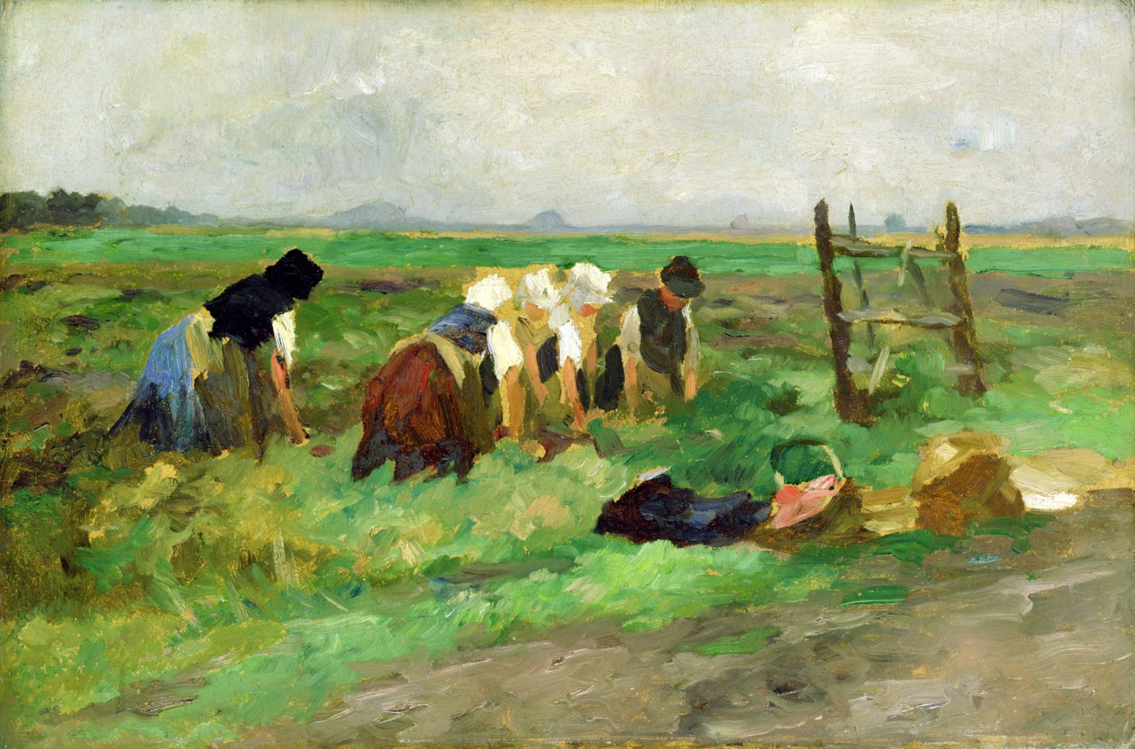 Field Workers, 1900 körül (olaj, karton) alkotó: Thomas Ludwig Herbst
