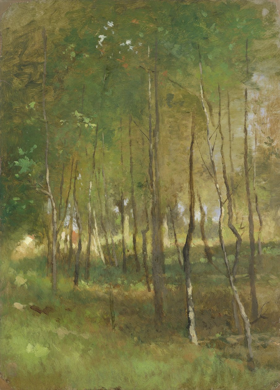 Fa (olaj, papír, vászonra fektetve) alkotó: Thomas Ludwig Herbst