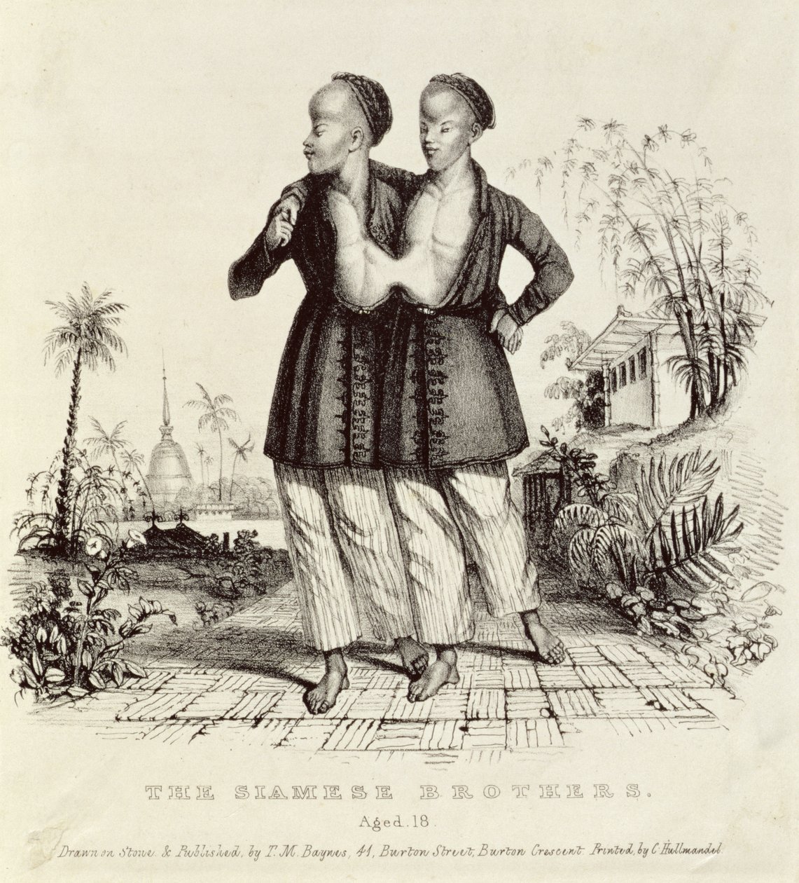 A sziámi testvérek, 18 évesek, nyomtatta Charles Hullmandel (1789-1850), 1829 körül alkotó: Thomas Mann Baynes