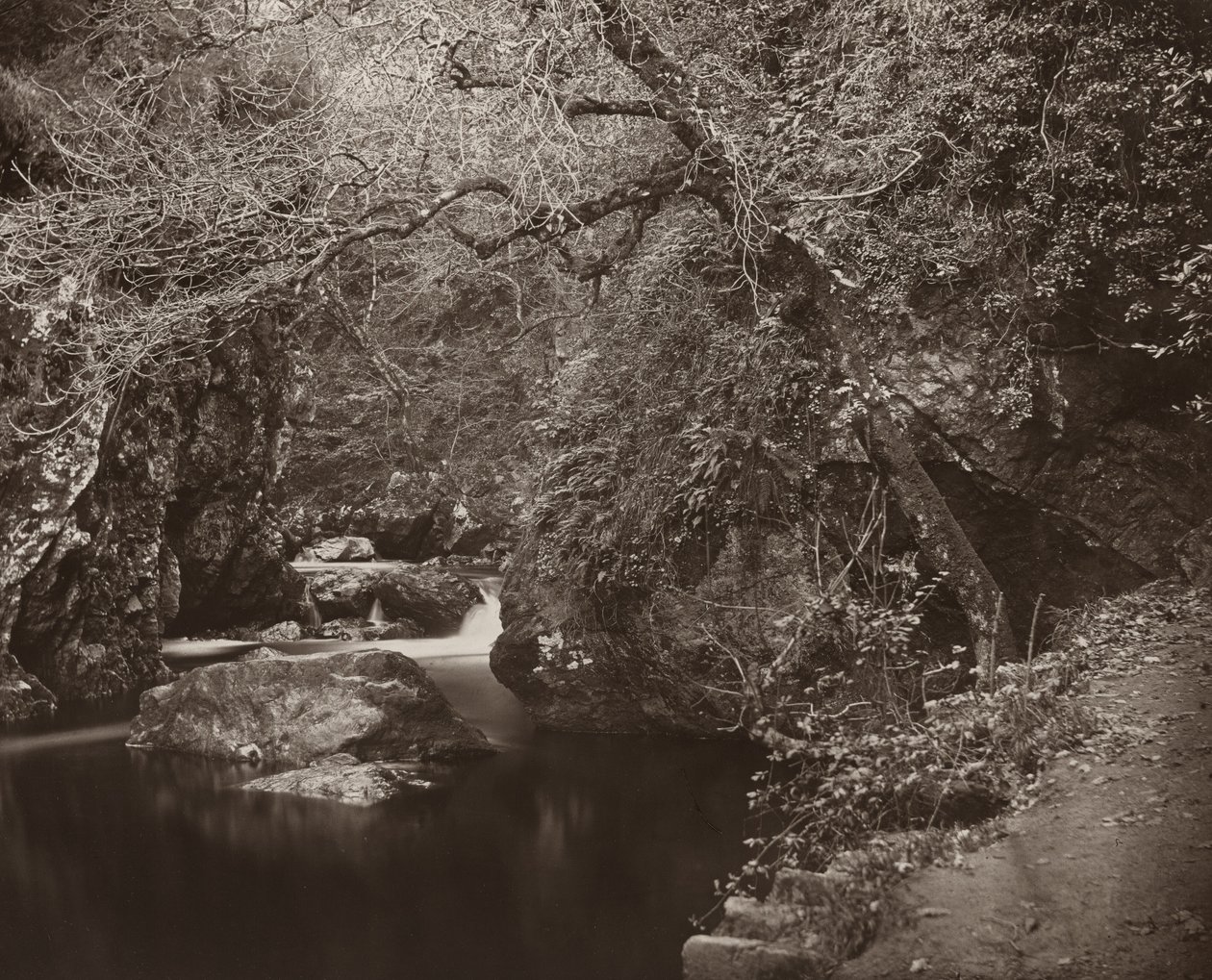 A Dargle Hole alkotó: Thomas Marcus Brownrigg