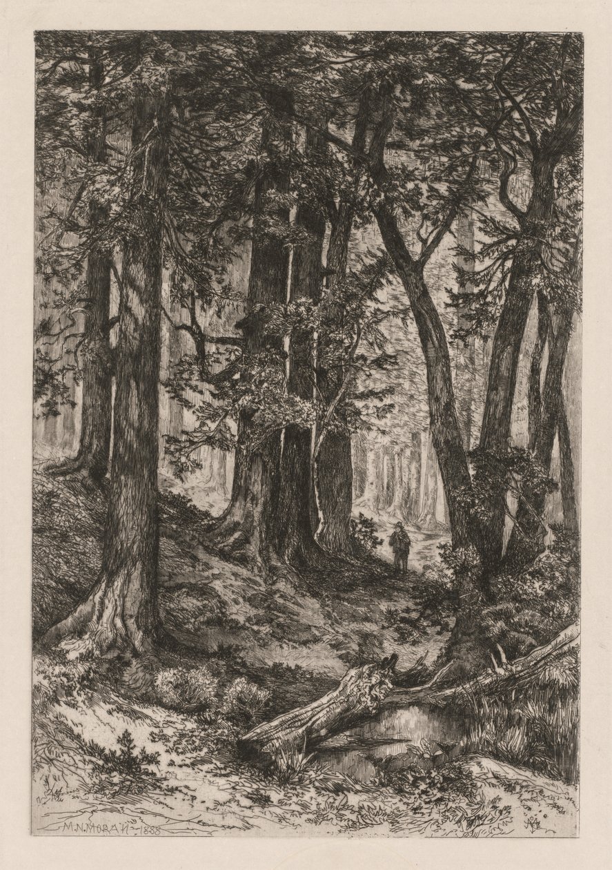 Egy kaliforniai erdő belseje (Thomas Moran (amerikai) után alkotó: Thomas Moran