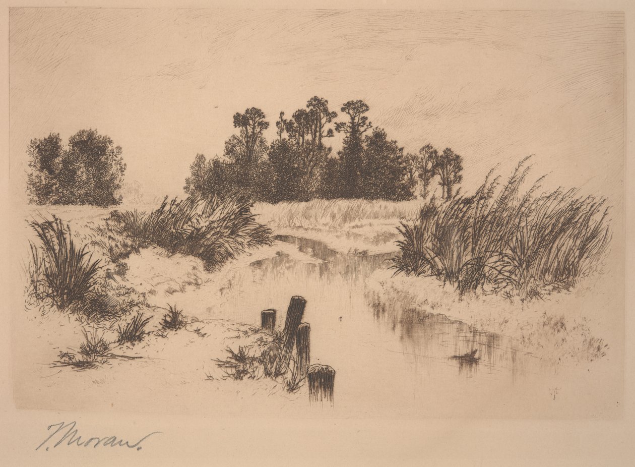 Passaic Meadows (Newark Meadows-ban) alkotó: Thomas Moran