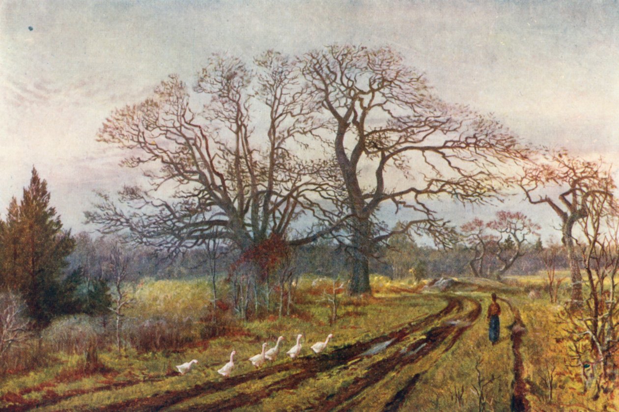  alkotó: Thomas Mower Martin
