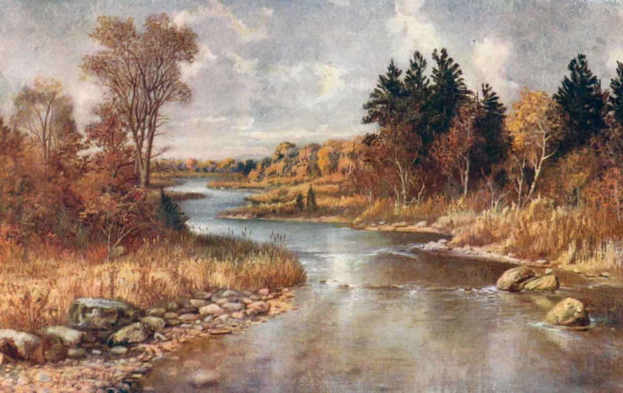 A jávorszarvasok vidékén, a Superior-tó közelében (színes lithó) alkotó: Thomas Mower Martin