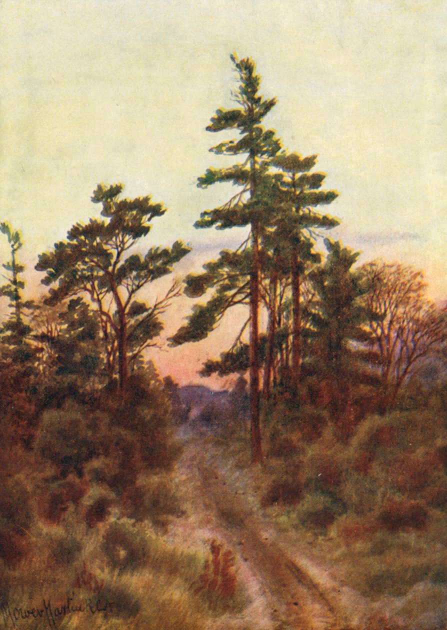 Victoria melletti út, esti (színes lithó) alkotó: Thomas Mower Martin
