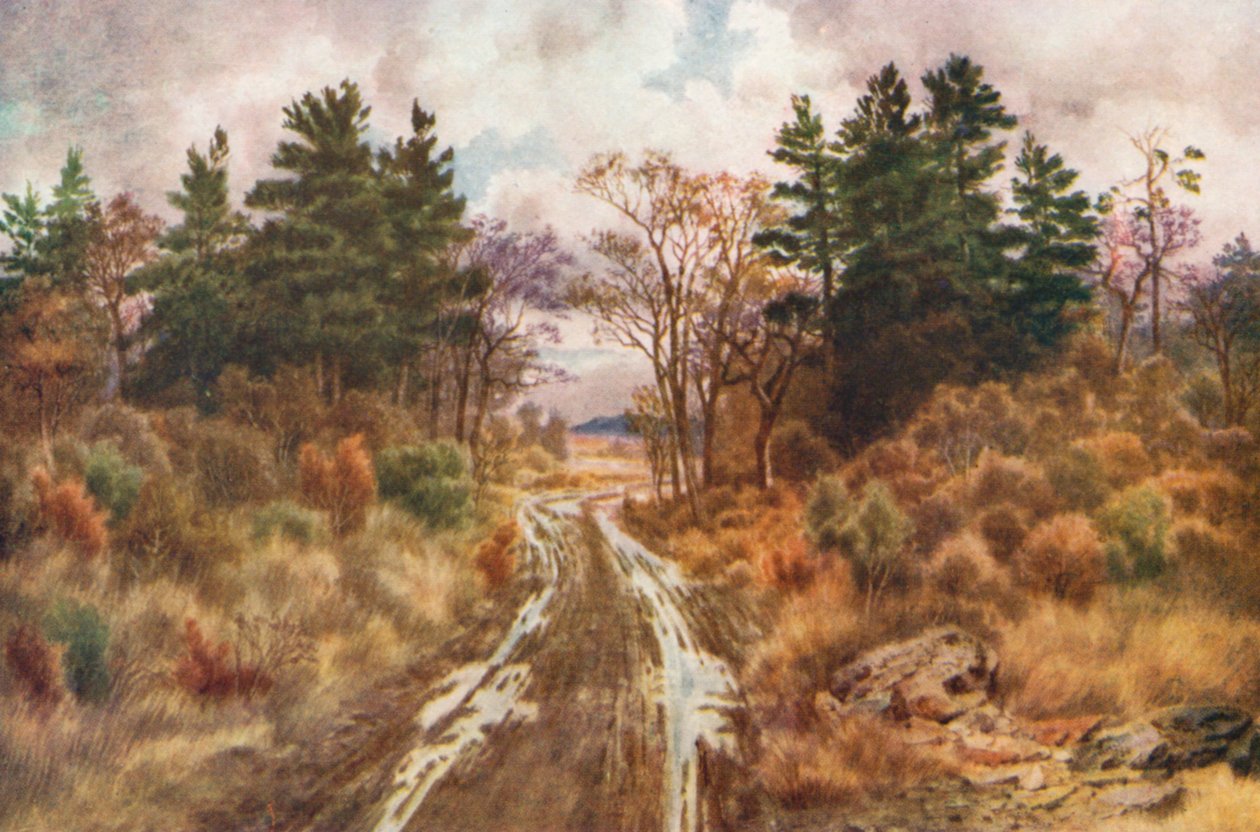Út a Fundy-öböl közelében, ősz (színes litográfia) alkotó: Thomas Mower Martin