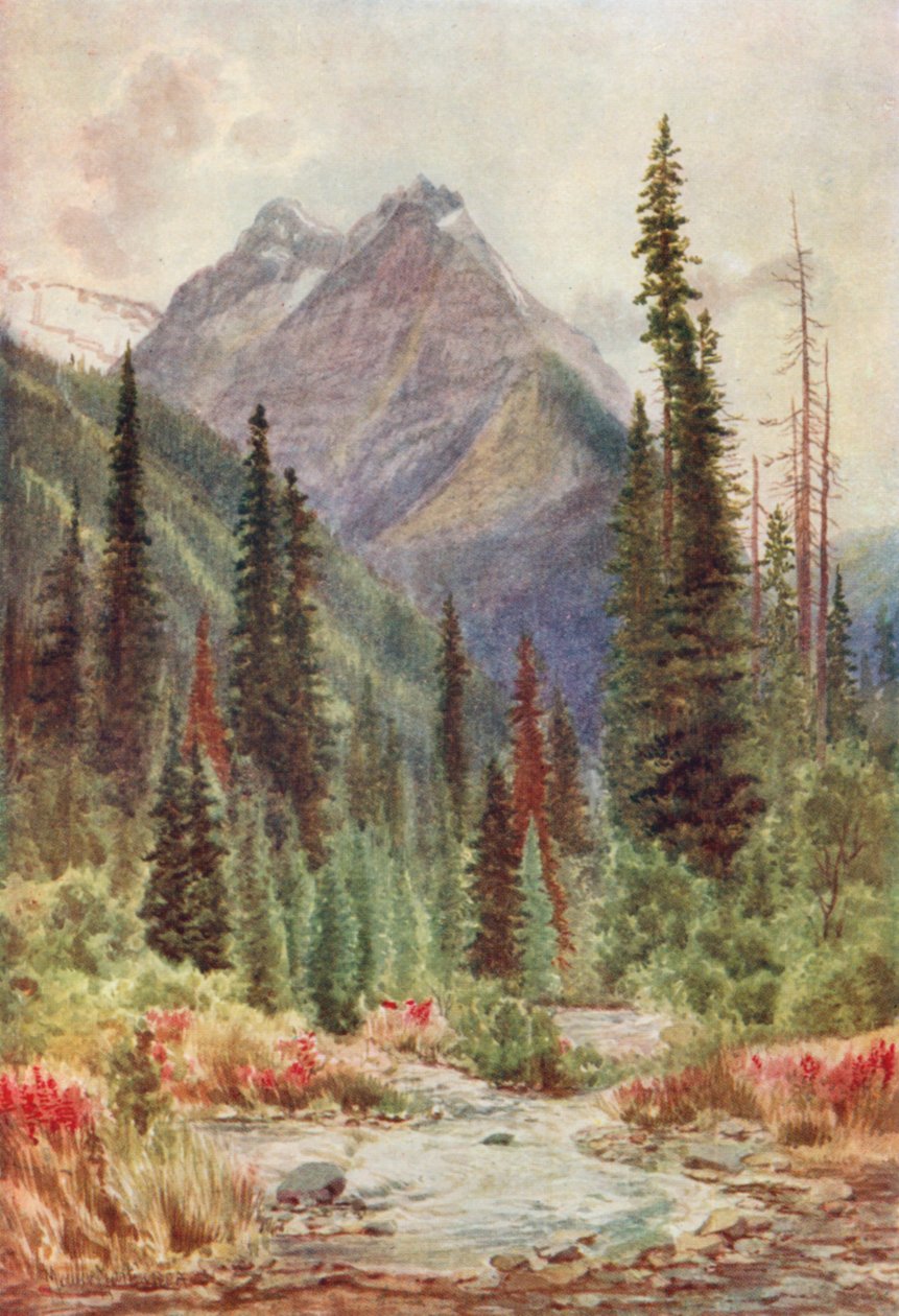  alkotó: Thomas Mower Martin