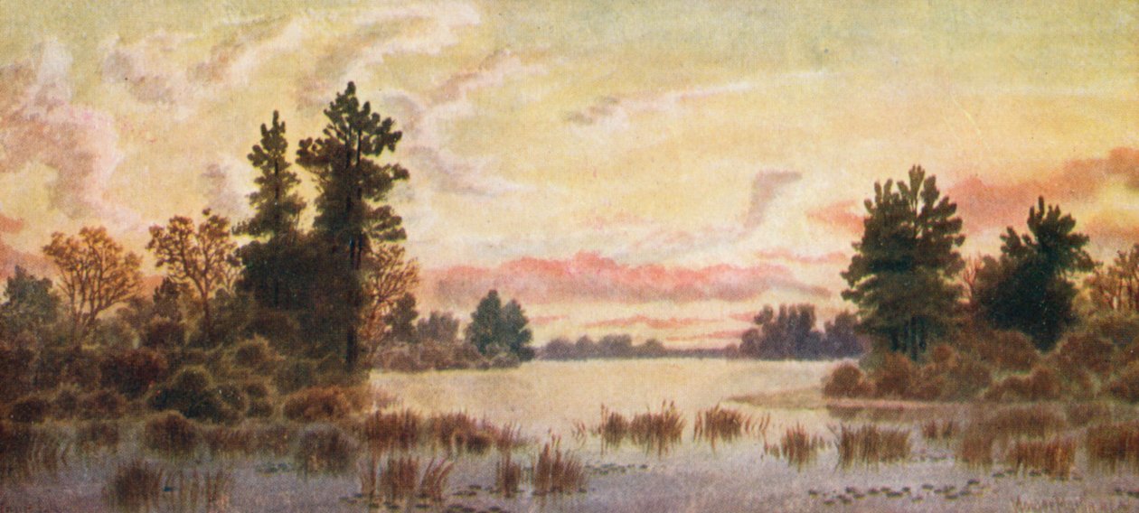  alkotó: Thomas Mower Martin