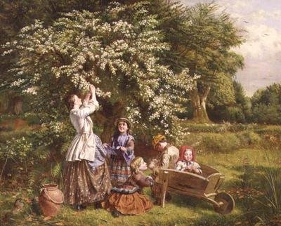 May Blossom gyűjtése alkotó: Thomas P. Hall