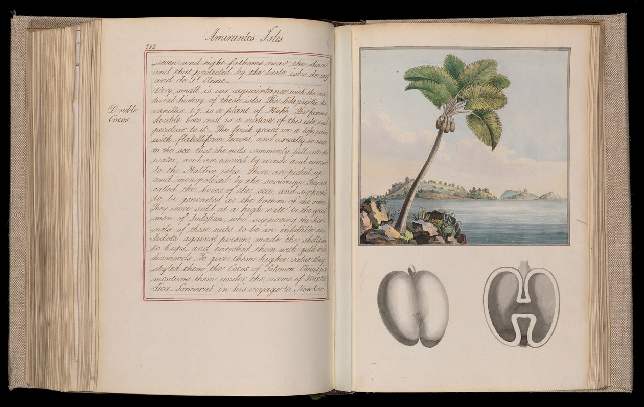 Etiópiai Afrika. "A földgömb körvonalai" vagy "Képzeletbeli világkörüli utazás" huszonhárom kötetben - Thomas Pennant (1726-1798) természettudós, utazó és író elbeszélései, természetrajzai és vázlatai. alkotó: Thomas Pennant