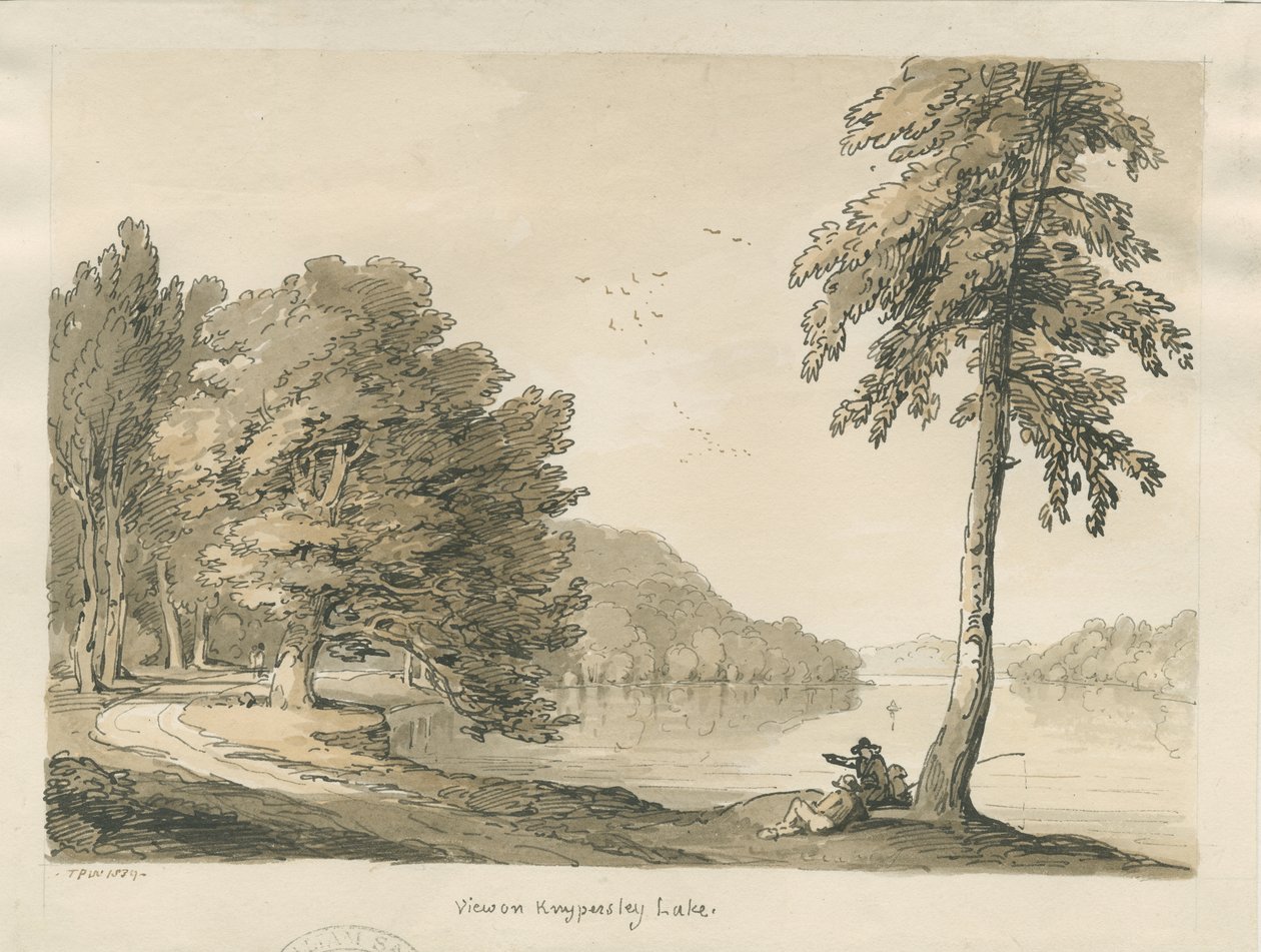 Biddulph Moor – A menyasszony-kövek: metszet alkotó: Thomas Peploe Wood