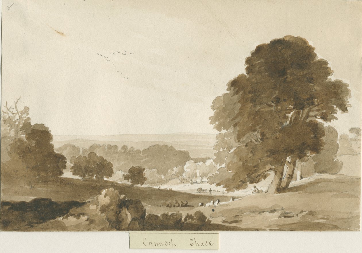 Cannock Chase: szépia mosás rajza, nd [?1839] alkotó: Thomas Peploe Wood