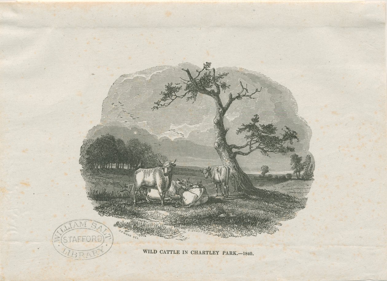 Chartley Hall - Park: fametszet alkotó: Thomas Peploe Wood