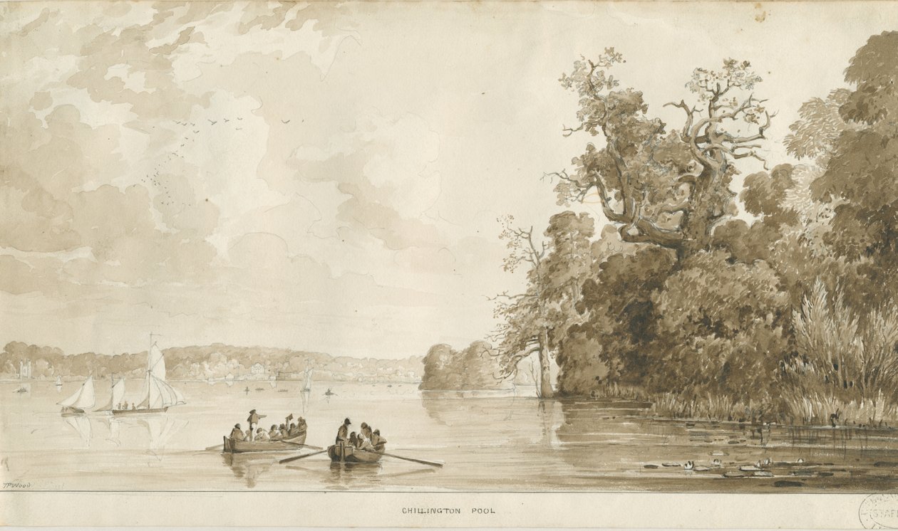 Chillington Park – Medence: szépia rajz, nd [1837-1838] alkotó: Thomas Peploe Wood