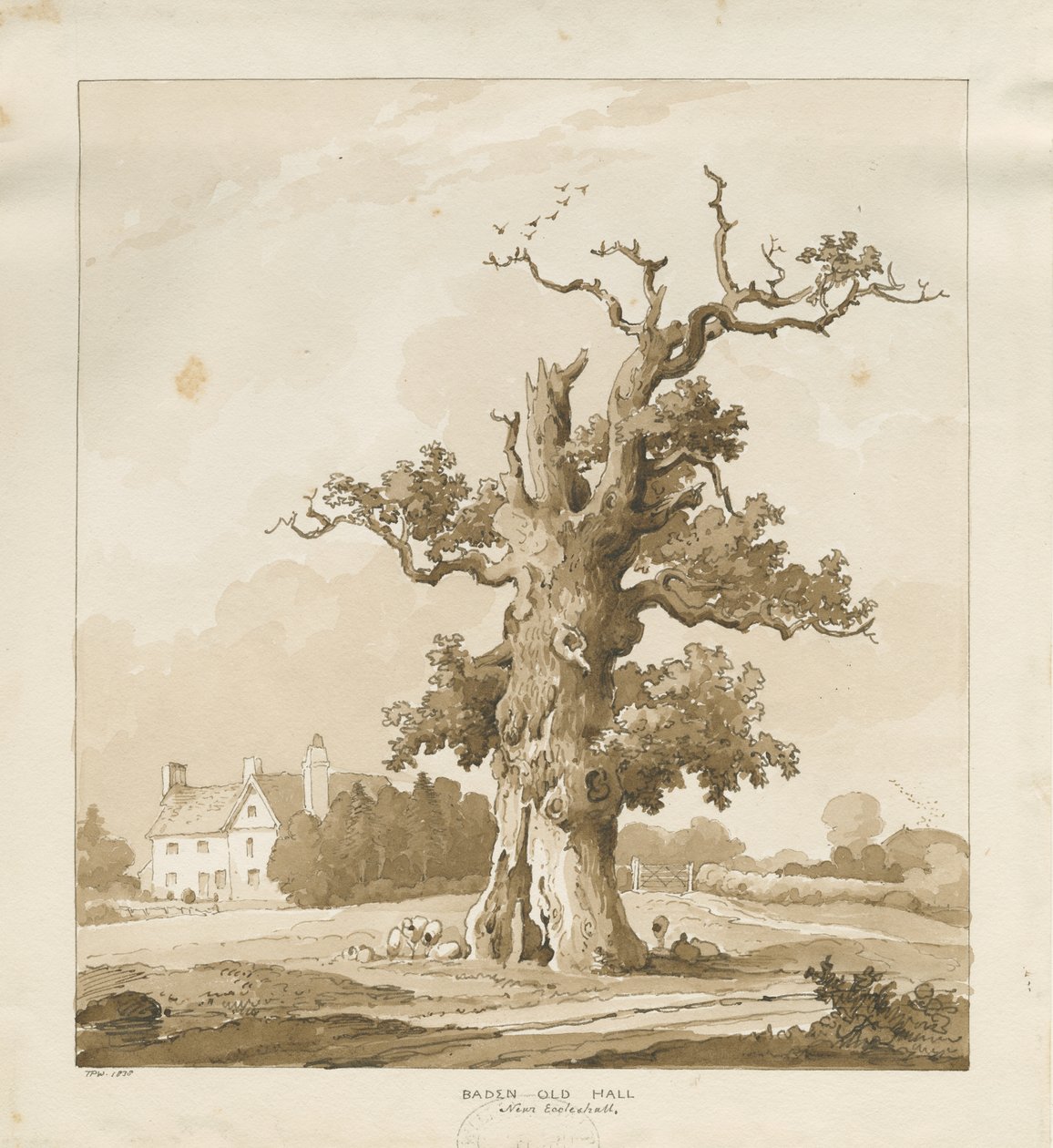 Eccleshall - Baden Old Hall: szépia rajz alkotó: Thomas Peploe Wood