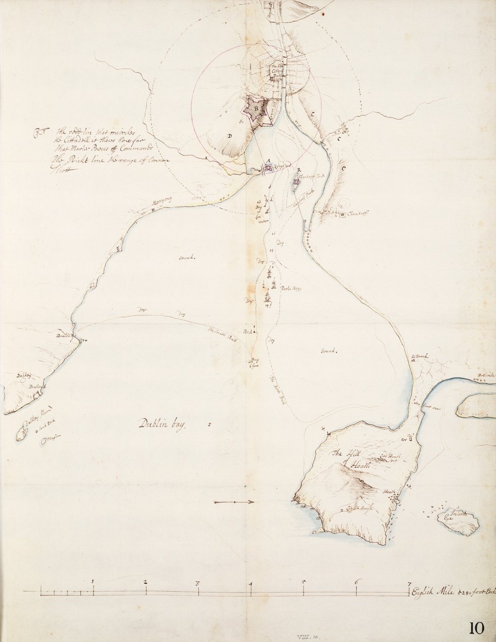 A Dublin-öböl fodros vonulata alkotó: Thomas Phillips