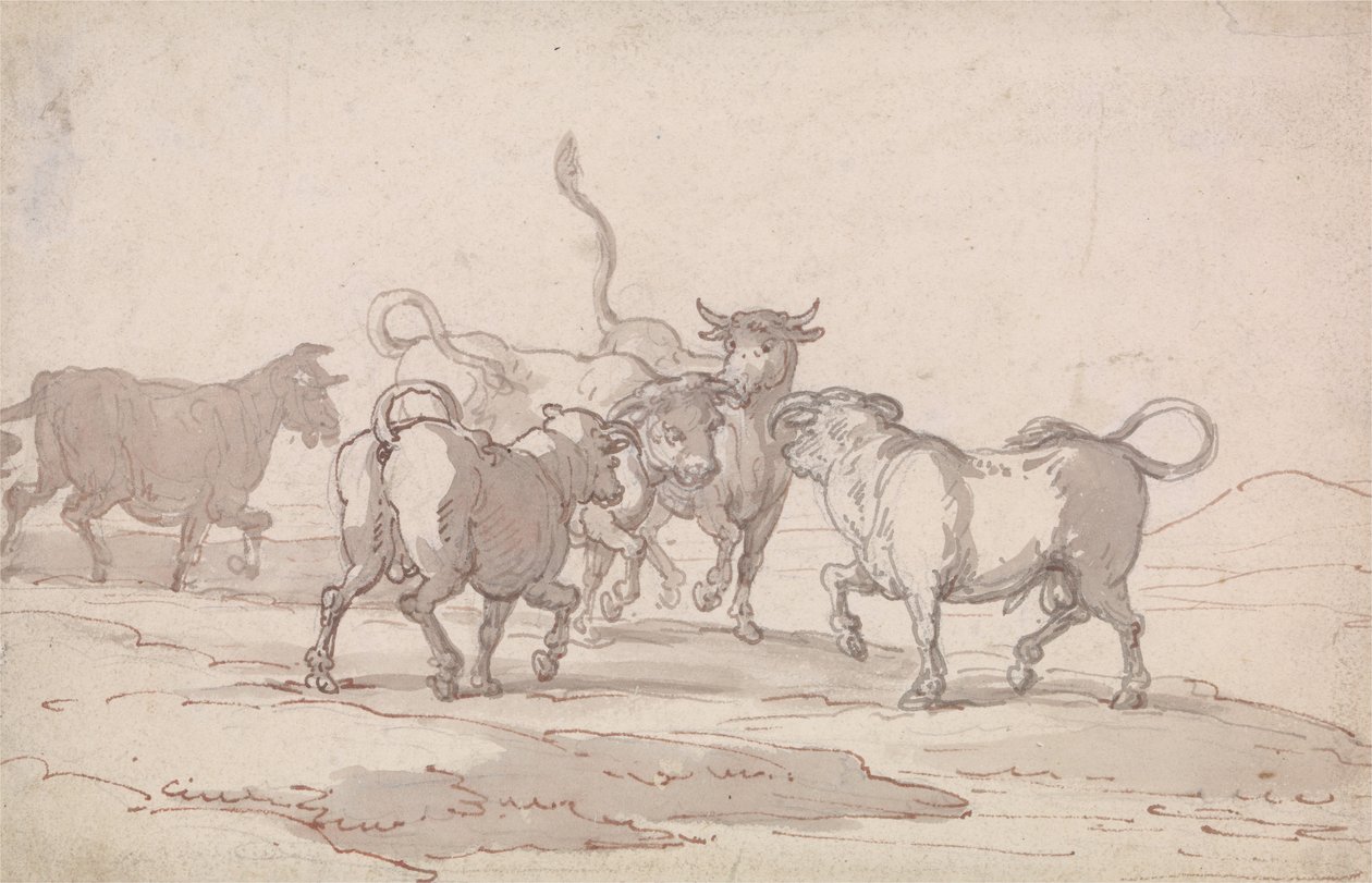 Öt bikából álló csoport, amely éppen harcra készül alkotó: Thomas Rowlandson