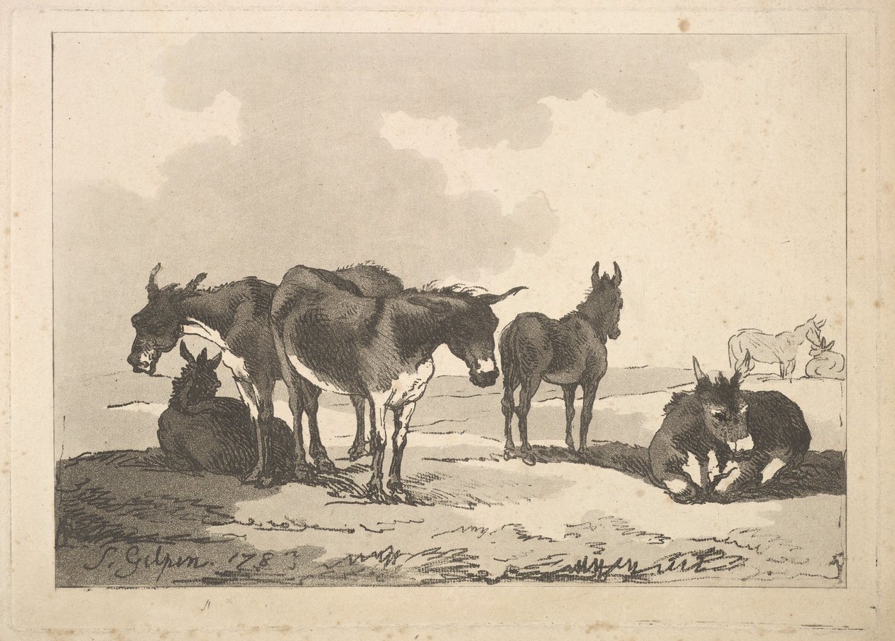 Egy csoport öt szamár, három álló, két fekvő, 1783-87. alkotó: Thomas Rowlandson