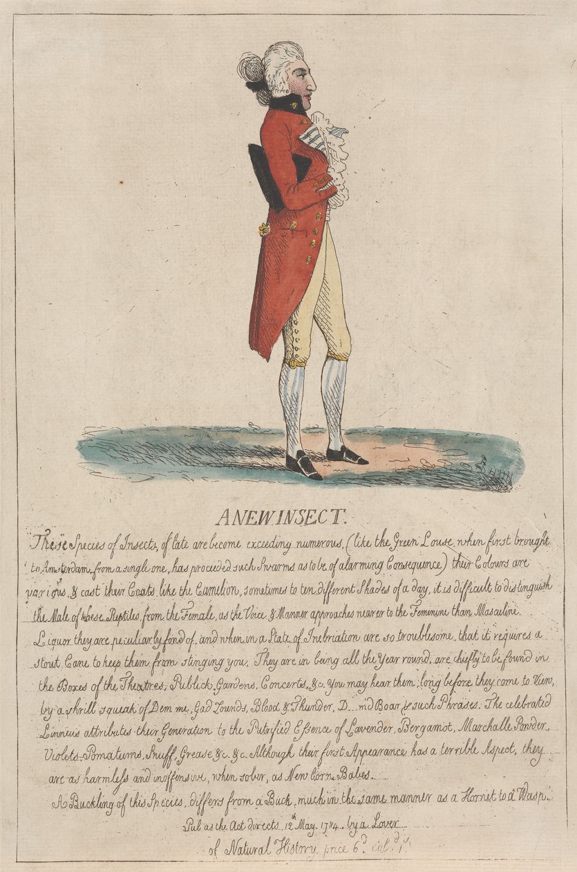 Egy új rovar alkotó: Thomas Rowlandson