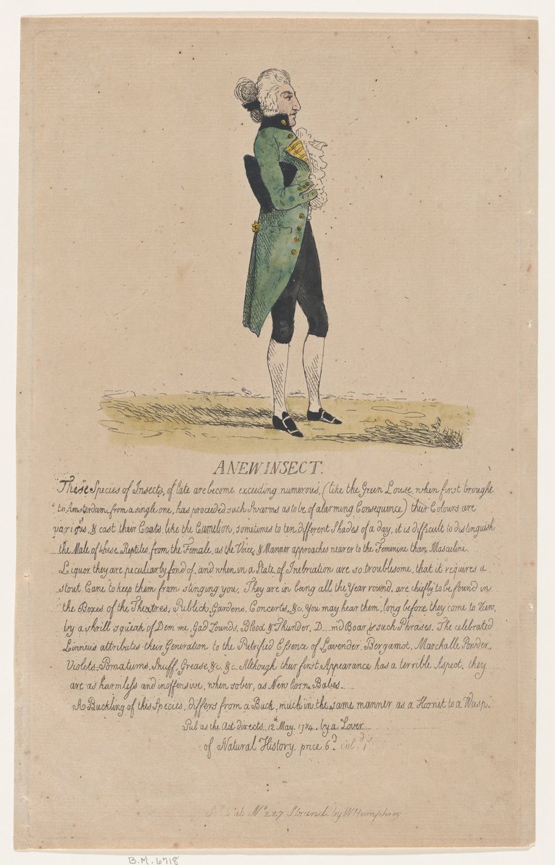 Egy új rovar, 1784. május 12., 1784. május 12. alkotó: Thomas Rowlandson