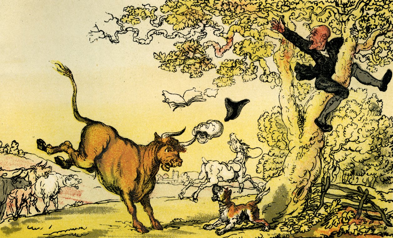 "Dr. szintaxist egy bika üldöz" alkotó: Thomas Rowlandson