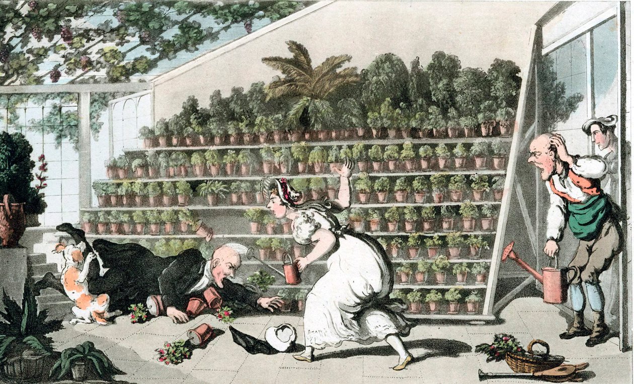Balszerencse a tulipánteremben, 1816 alkotó: Thomas Rowlandson