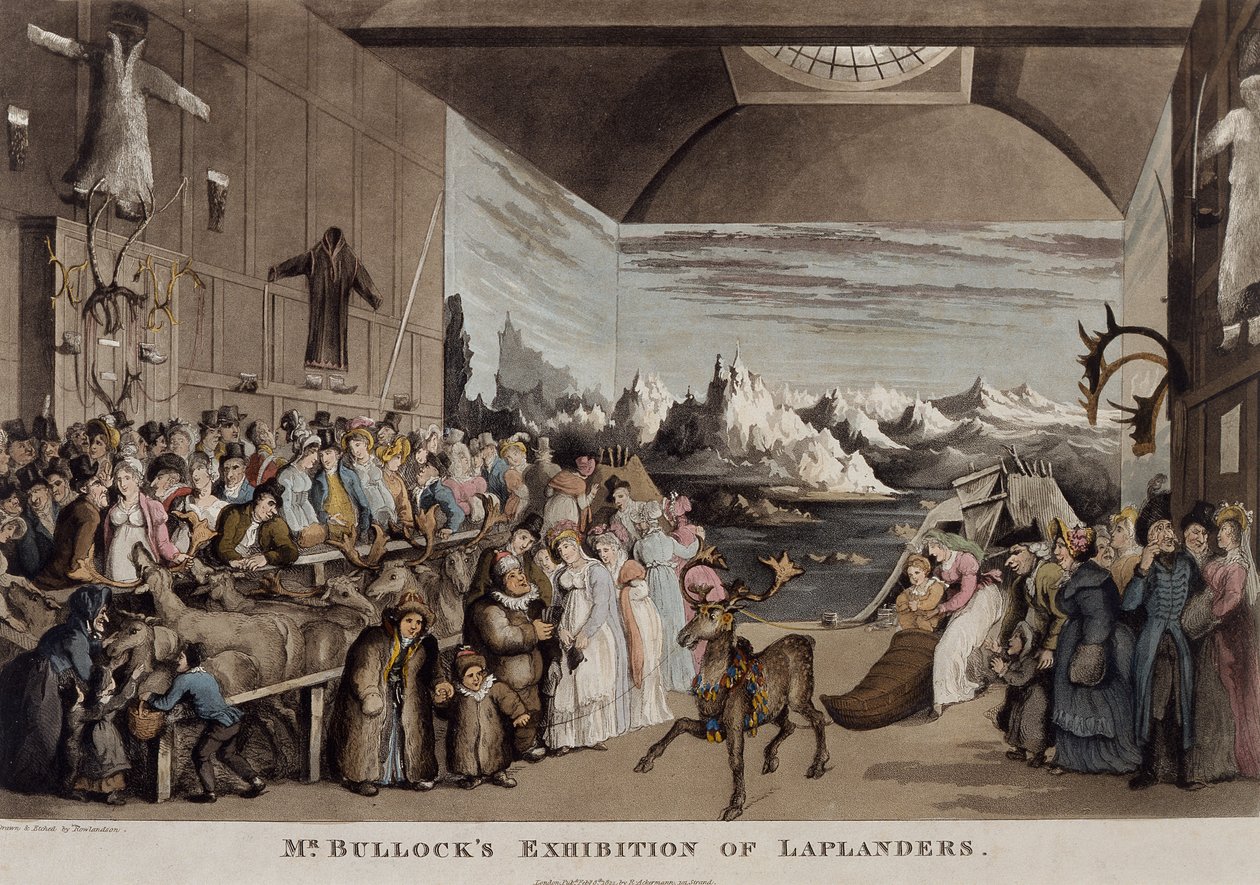 Bullock úr lappföldi kiállítása az Egyptian Hallban, Piccadillyben, 1822 (akvatinta) alkotó: Thomas Rowlandson