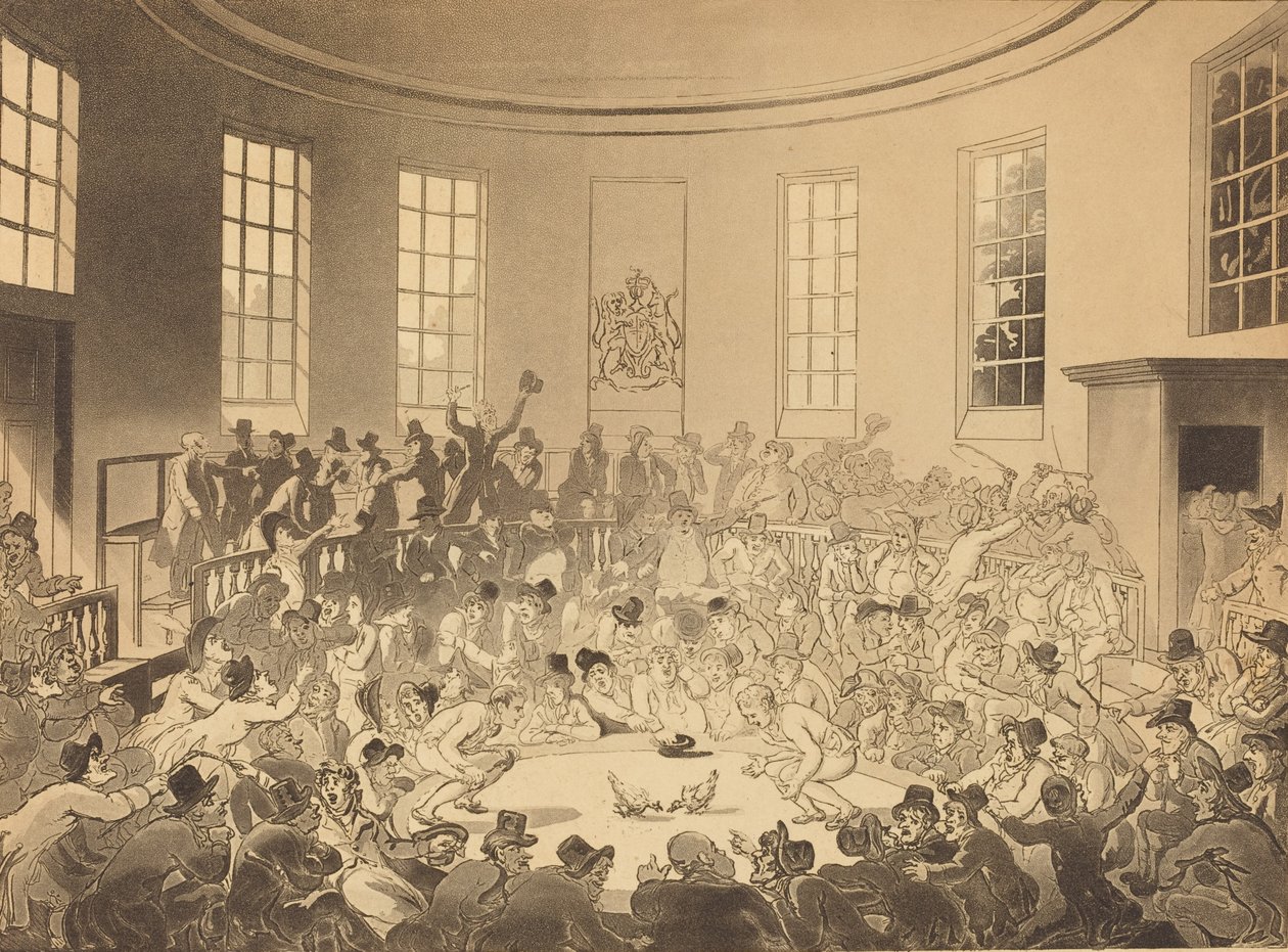 Royal Cock Pit, megjelent 1808-ban. alkotó: Thomas Rowlandson