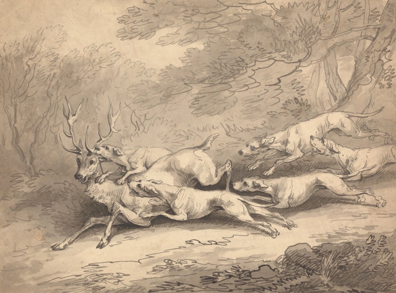 Egy kutyafalkával lelőtt szarvas alkotó: Thomas Rowlandson