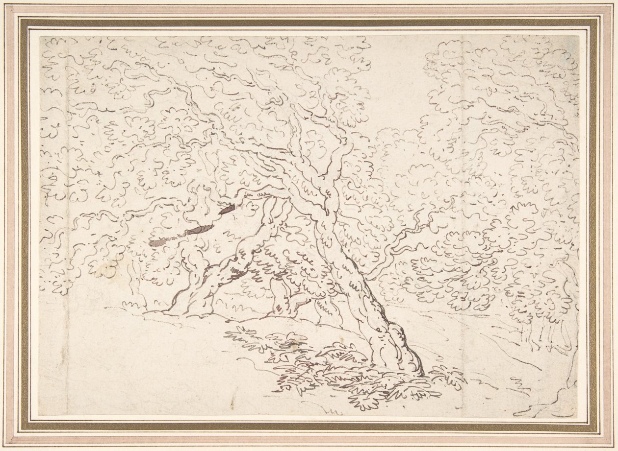 A fák tanulmányozása alkotó: Thomas Rowlandson