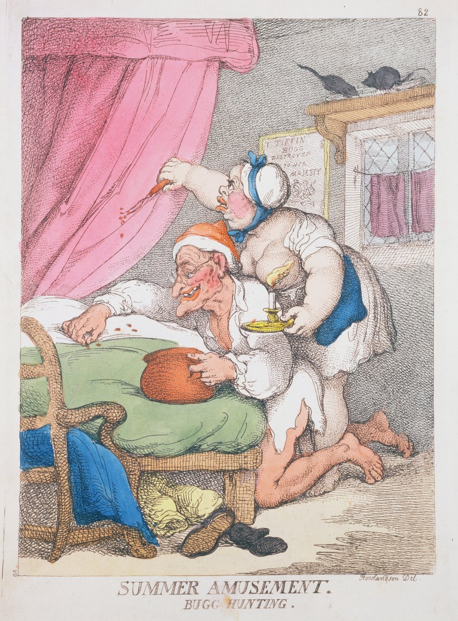 Nyári mulatság. Bogárvadászat alkotó: Thomas Rowlandson
