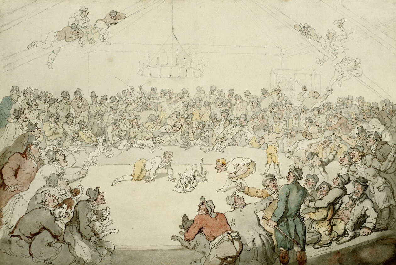 A Westminster Pitt, 1798 alkotó: Thomas Rowlandson