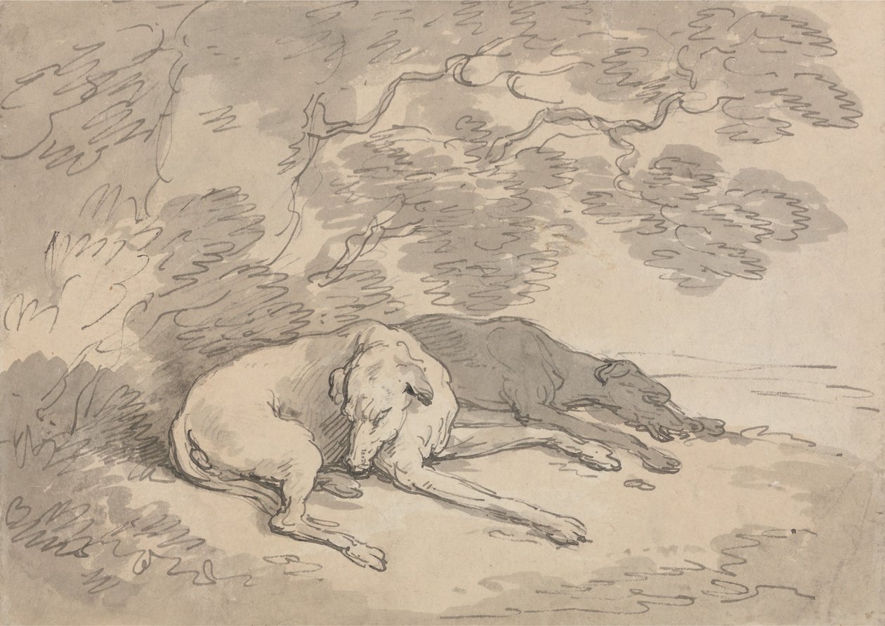 Két agár fekszik egy fa alatt alkotó: Thomas Rowlandson