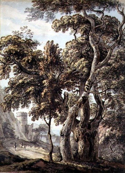 Fák tanulmányozása (toll és tinta és akvarell papíron) alkotó: Thomas Sandby