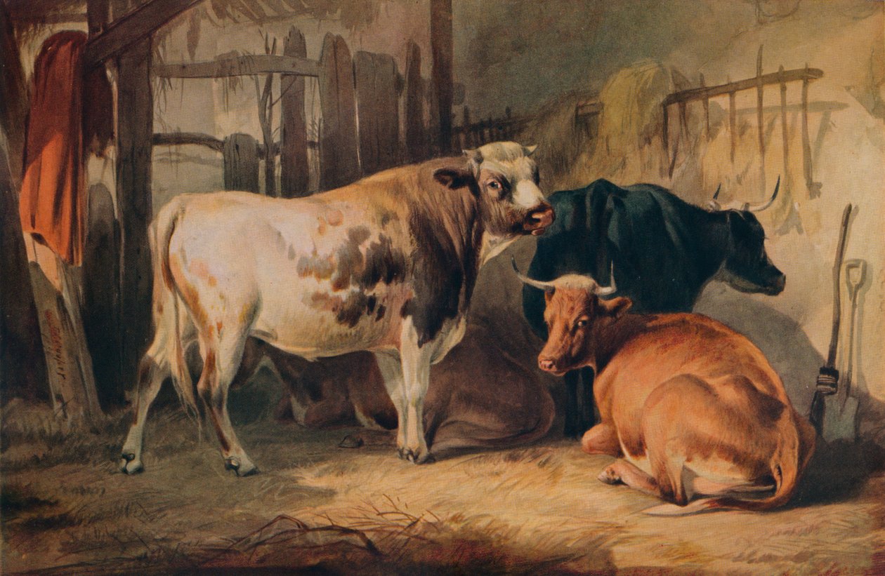 Egy bika és három tehén egy istállóban, 1856 alkotó: Thomas Sidney Cooper