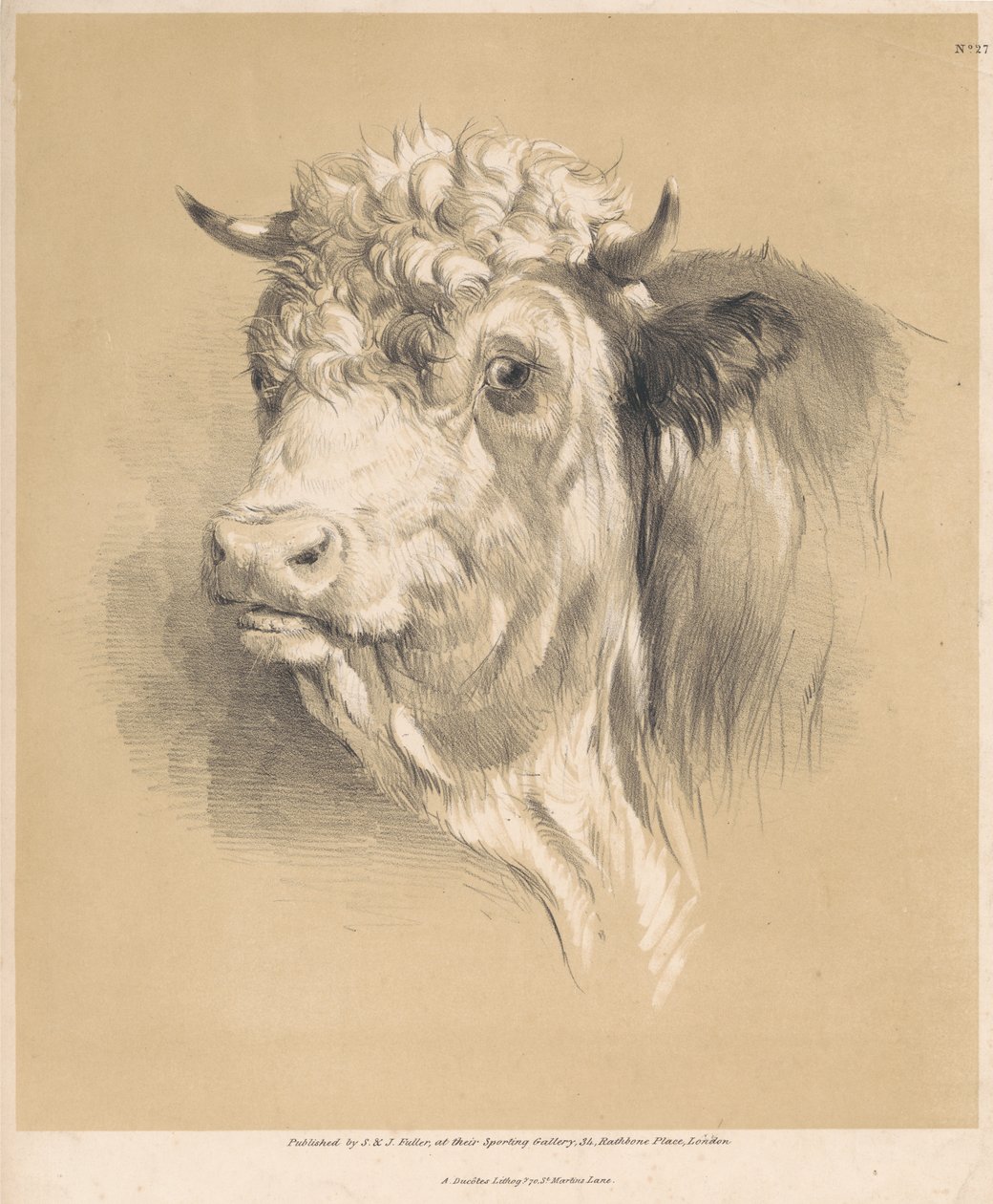 Egy tehén, 27. sz. alkotó: Thomas Sidney Cooper