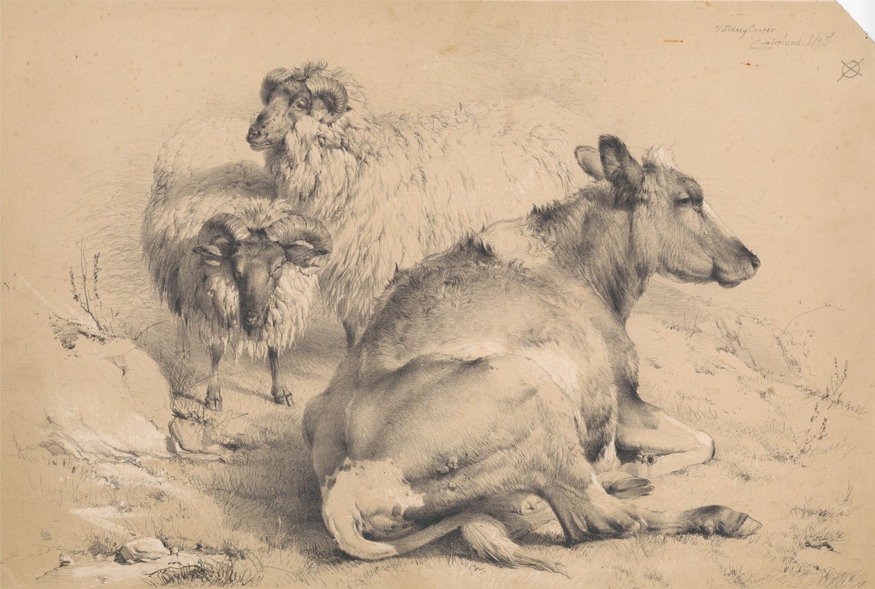 Egy tehén és két kos alkotó: Thomas Sidney Cooper