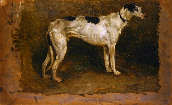 A Lurcher (olaj, papír) alkotó: Thomas Sidney Cooper