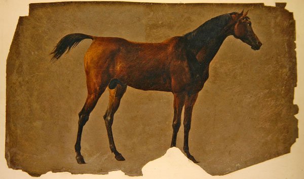 Egy arab ló (olaj, papír) alkotó: Thomas Sidney Cooper