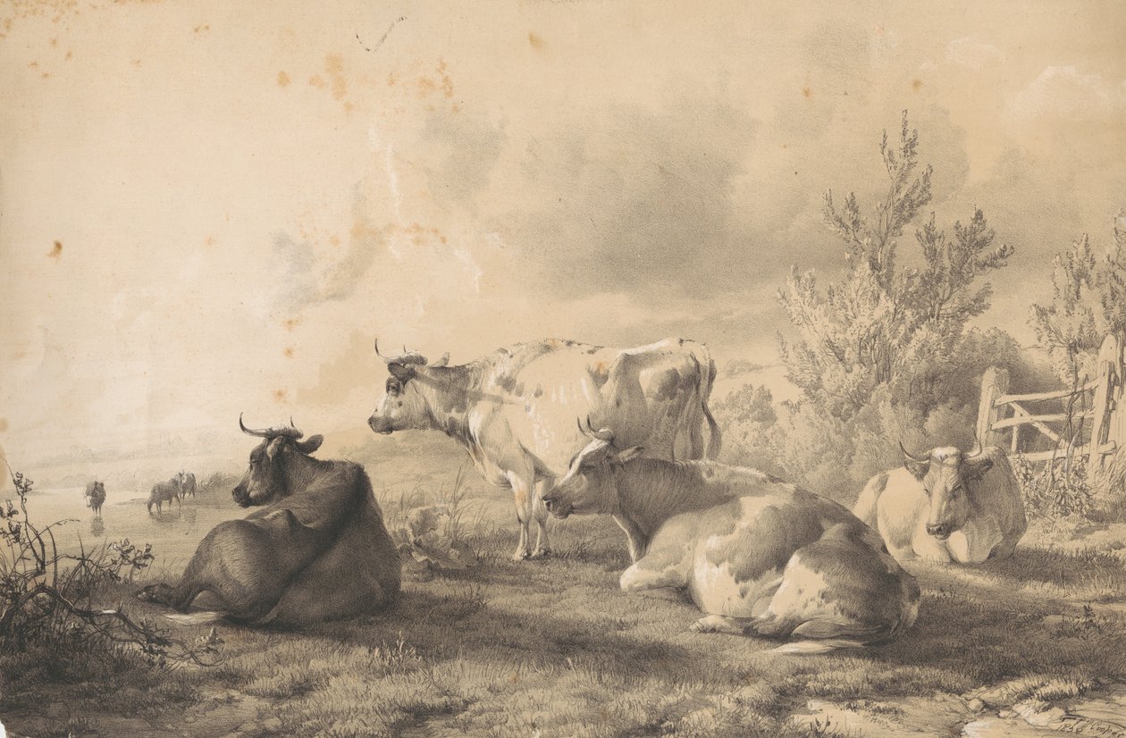 Kerítés közelében fekvő szarvasmarhák alkotó: Thomas Sidney Cooper